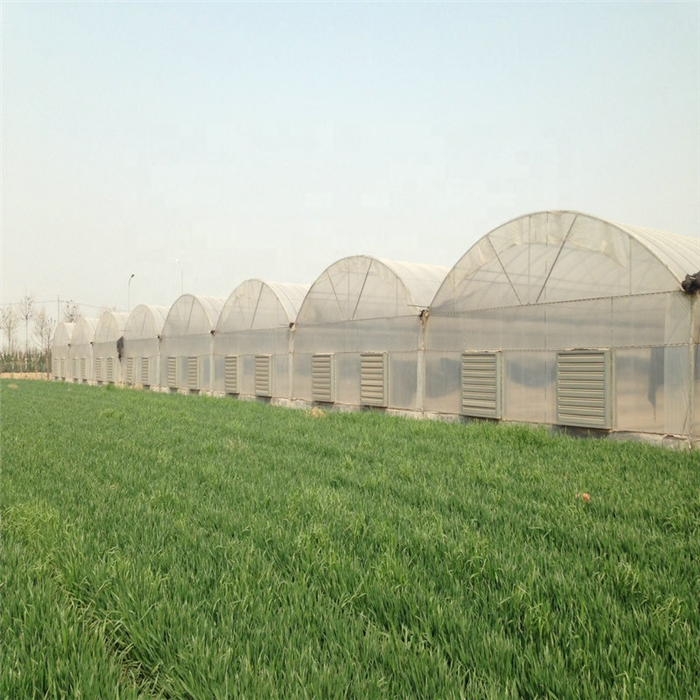 Greenhouse Film