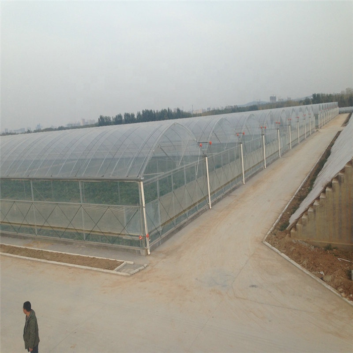 Greenhouse film