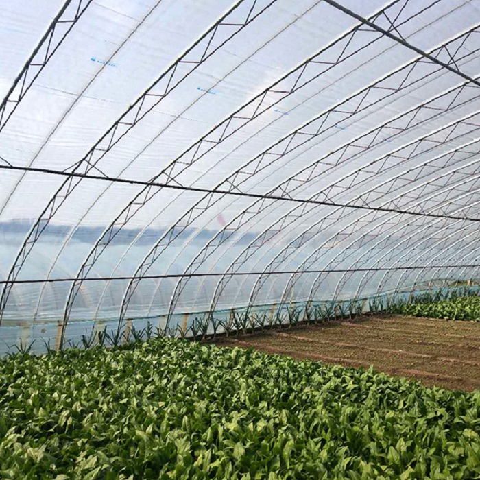 Greenhouse Film