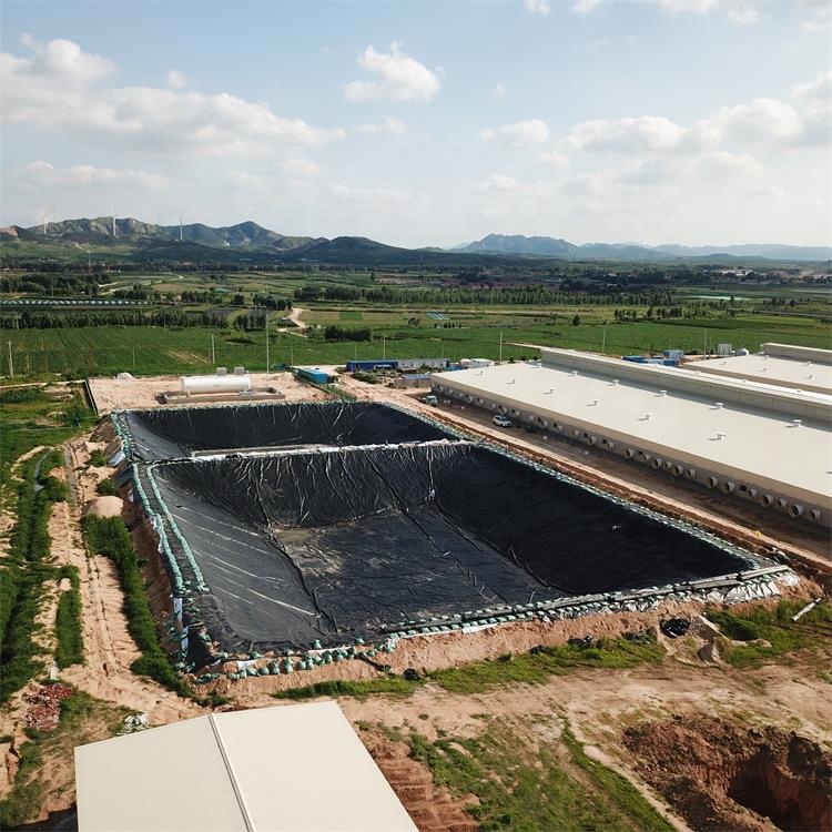 Geomembranes209.jpg