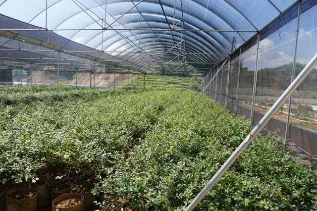 06e9aadf0eaec2f0e8aee105440741ea_w640.jpg 06e9aadf0eaec2f0e8aee105440741ea_w640.jpg